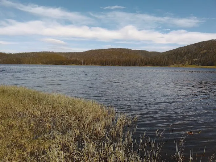 Grebe Lake 4G5 Picture 4