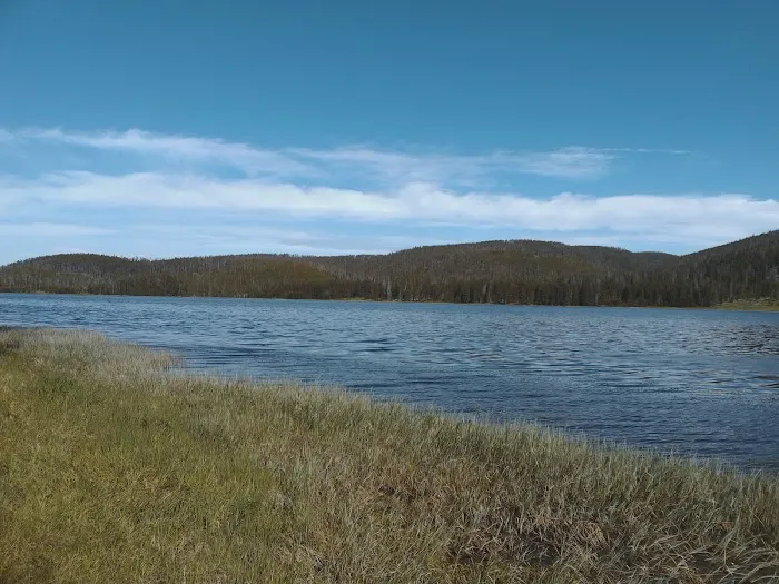 Grebe Lake 4G5 Picture 2