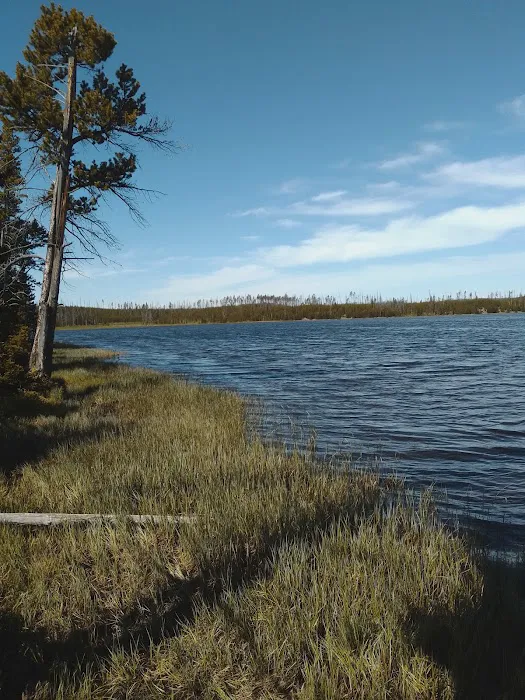 Grebe Lake 4G5 Picture 3