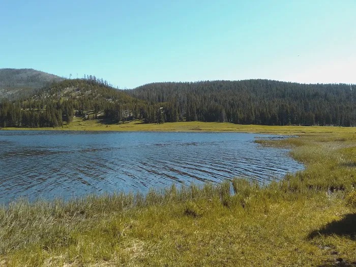 Grebe Lake 4G5 Picture 1