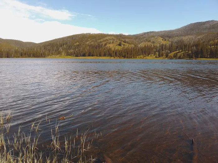 Grebe Lake 4G5 Picture 5