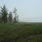 Grebe Lake 4G2