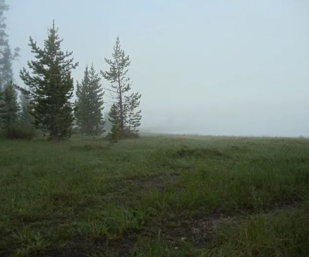 Grebe Lake 4G2