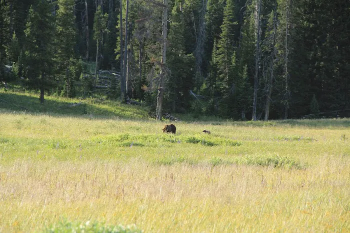 Cascade Lake 4E3 Picture 7