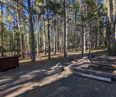 Canyon Campground