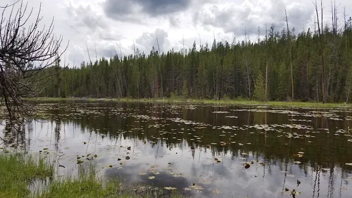 Ribbon Lake 4R1 Picture 6