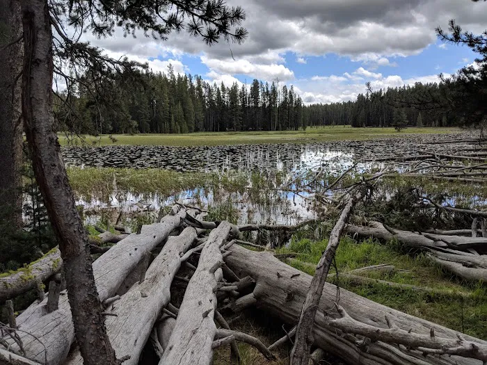 Ribbon Lake 4R1 Picture 7