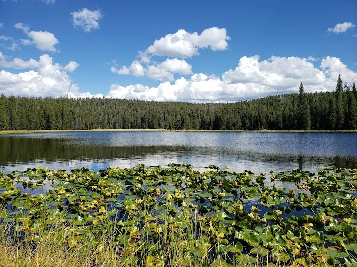Ribbon Lake 4R1 Picture 10