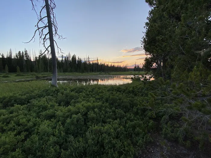 Basin Beach Picture 3