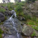 Douglas Knob Meadow