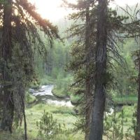 Moose Creek Meadow ico