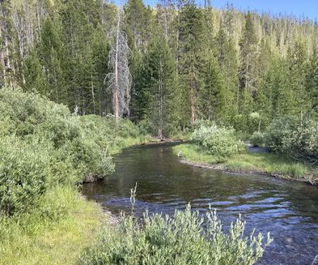 Moose Creek