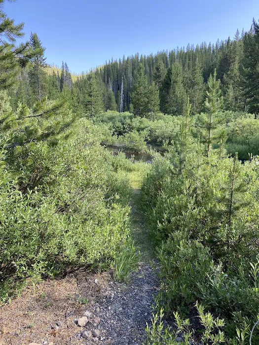 Moose Creek Picture 6