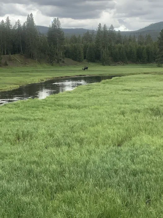 Moose Creek Picture 4