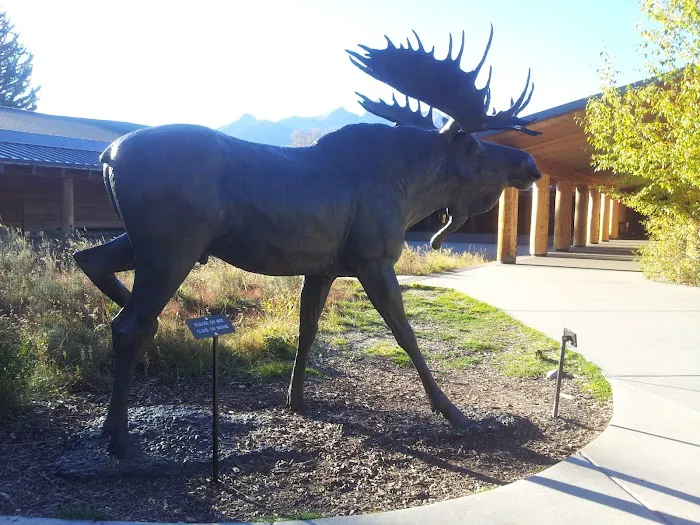 Moose Creek Picture 5