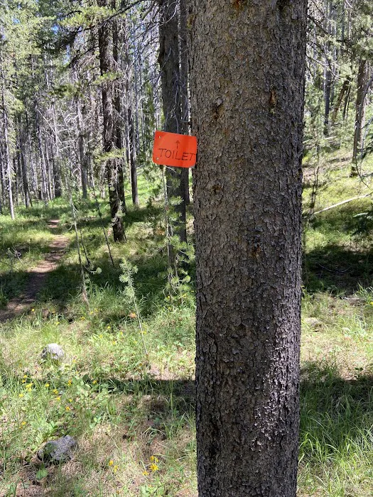 Moose Creek Picture 10