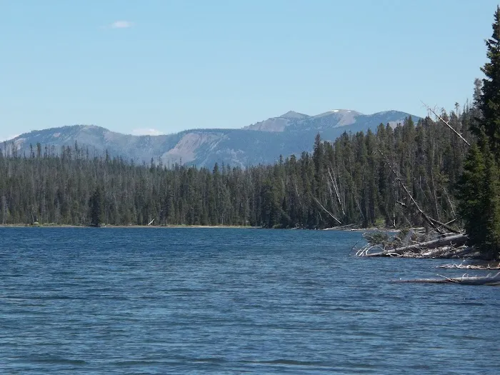 Channel Picture 9
