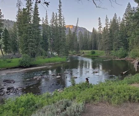 Slough Creek Campground