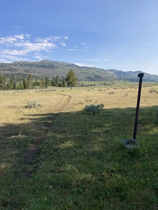 Lower Slough Creek Campground 1 Picture 8