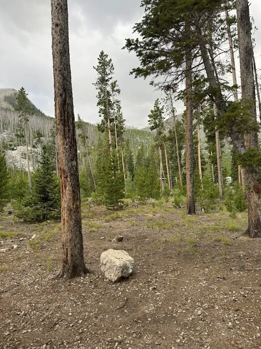 Cascade Campground Picture 10