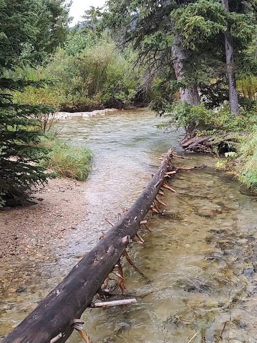 Basin Campground Picture 4