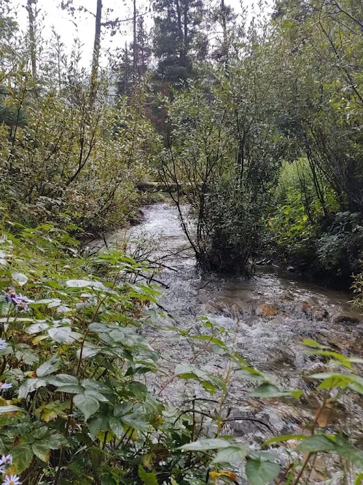 Basin Campground Picture 3
