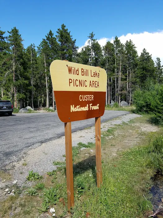 Wild Bill Lake Picture 7