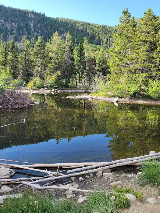 Wild Bill Lake Picture 9