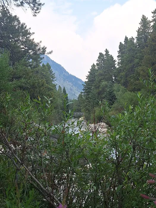 Limber Pine Campground Picture 2