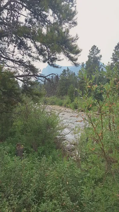 Limber Pine Campground Picture 1