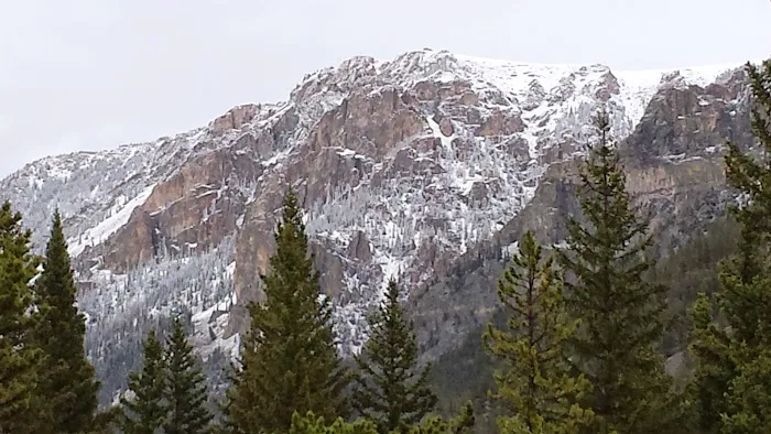 Limber Pine Campground Picture 7