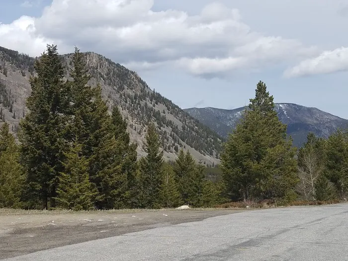 Limber Pine Campground Picture 6