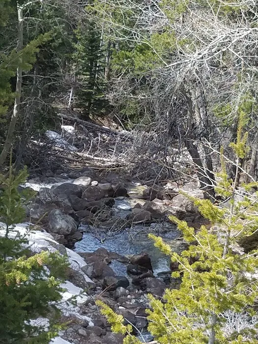 Limber Pine Campground Picture 10