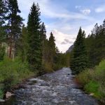 Greenough Lake Campground