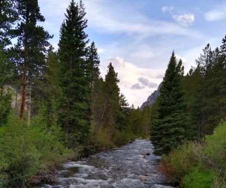 Greenough Lake Campground