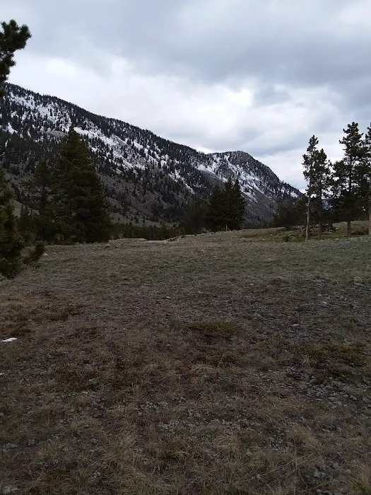 Greenough Lake Campground Picture 7