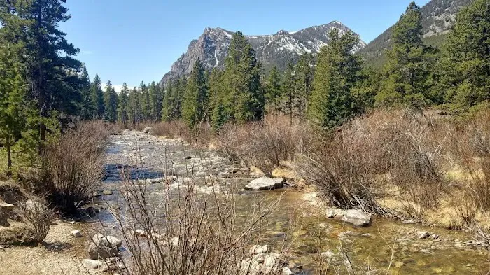 Greenough Lake Campground Picture 10