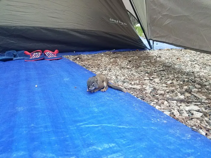 Parkside Campground Picture 6