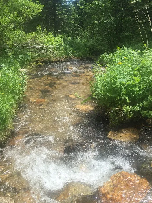 Palisades Campground Picture 10