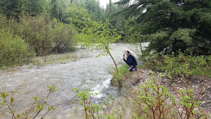 Rattin Campground Picture 2