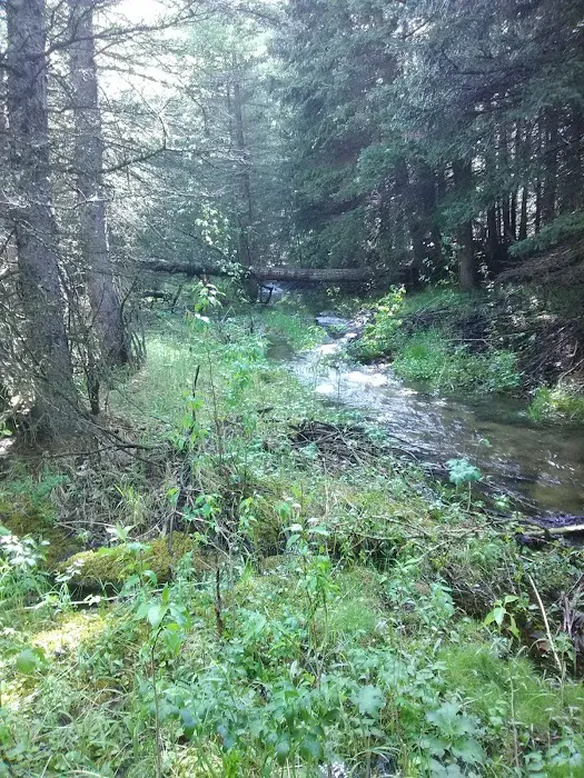Rattin Campground Picture 7