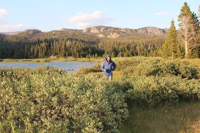 Beartooth Lake Campground Picture 1