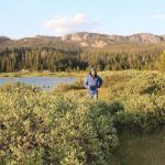 Beartooth Lake Campground
