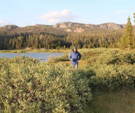 Beartooth Lake Campground