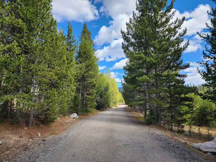 Beartooth Lake Campground Picture 4