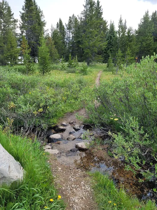 Beartooth Lake Campground Picture 8
