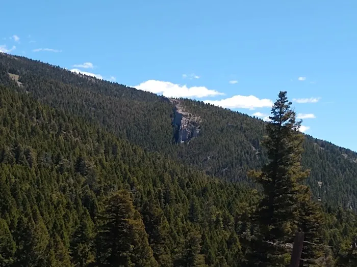 Timber Cr Dispersed Campground Picture 4