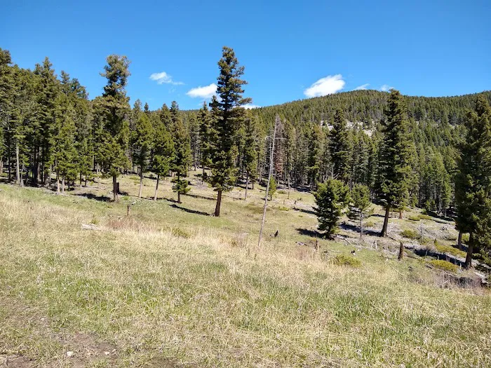 Timber Cr Dispersed Campground Picture 3