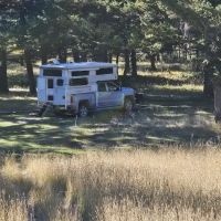 Timber Cr Dispersed Campground ico