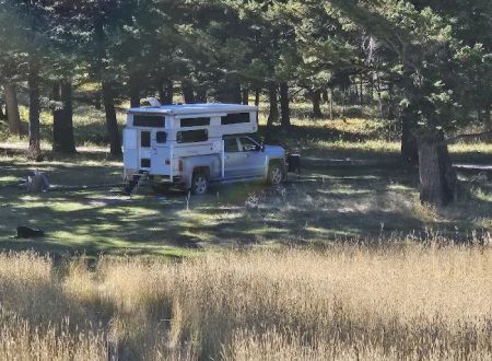 Timber Cr Dispersed Campground